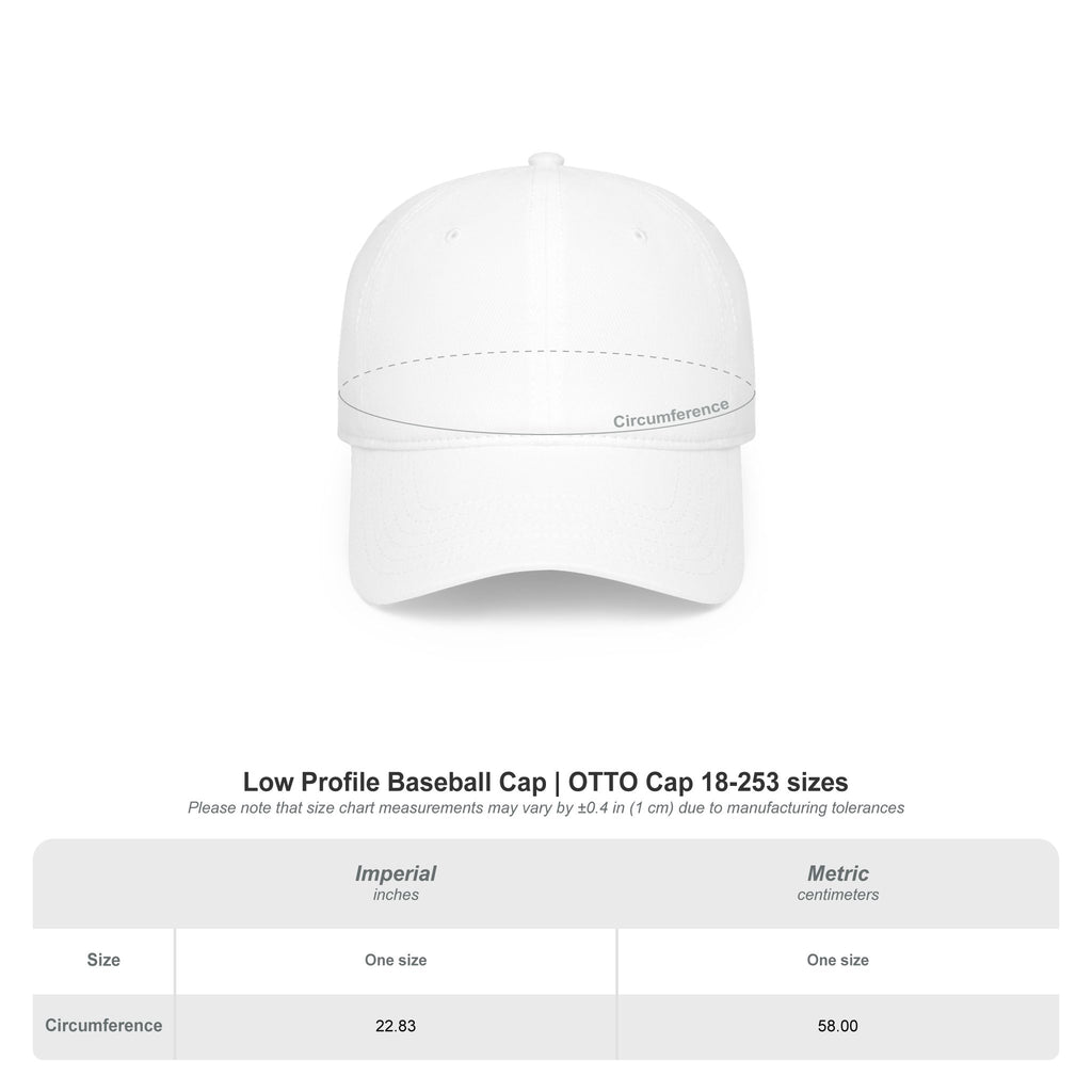EDUCASA New York Logo Low Profile Baseball Cap
